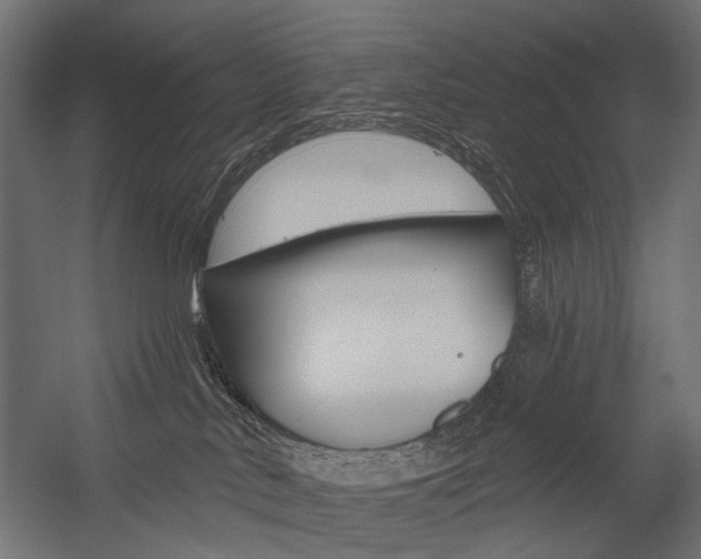X0000054460042200507291033