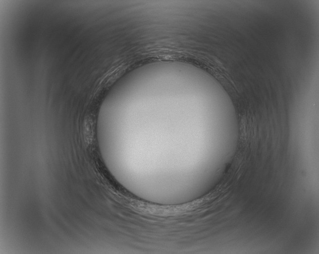 X0000054460043200507291033
