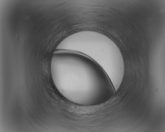 X0000054460044200507291033