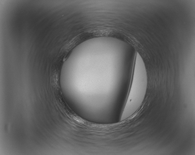 X0000054460045200507291033