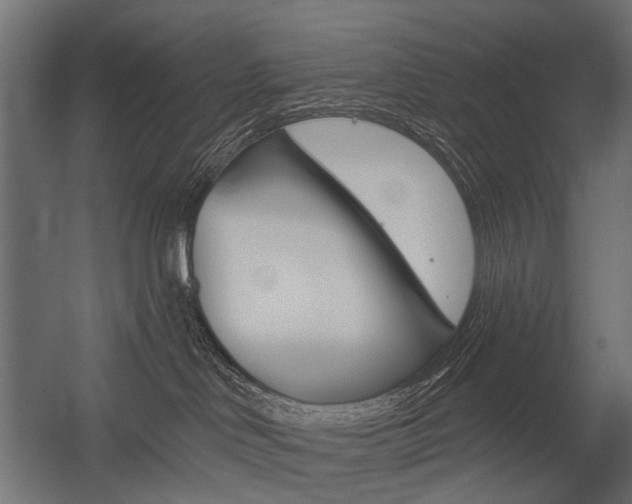 X0000054460046200507291033
