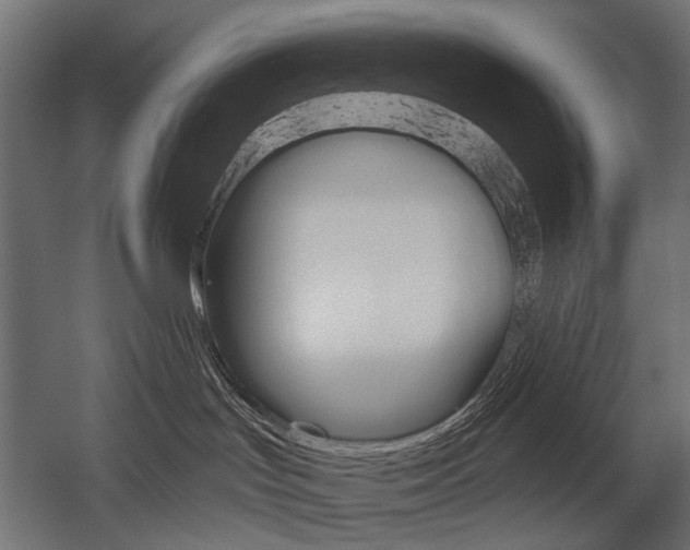 X0000054460047200507291033