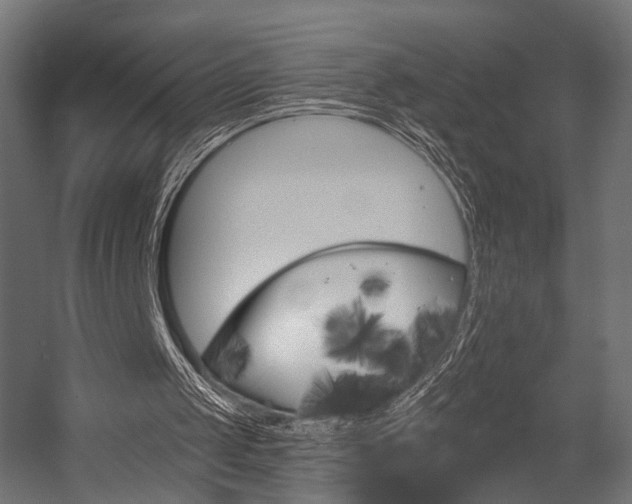 X0000054460049200507291032