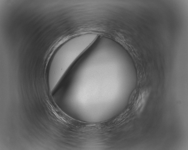 X0000054460050200507291032