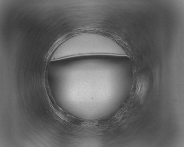 X0000054460051200507291032