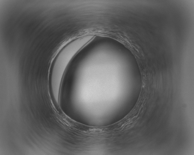 X0000054460052200507291032