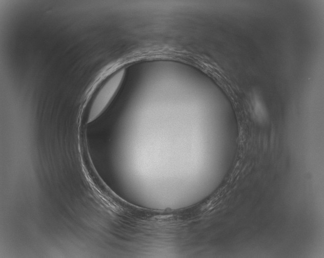 X0000054460054200507291032