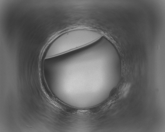 X0000054460055200507291032