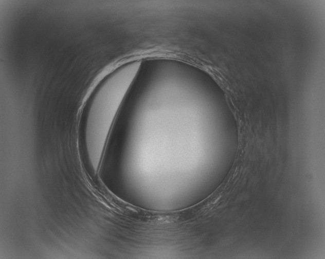 X0000054460056200507291032