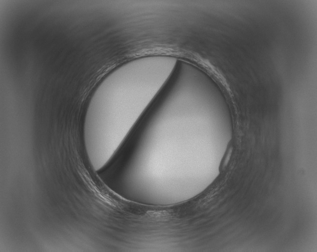 X0000054460057200507291032
