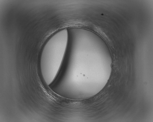 X0000054460058200507291032