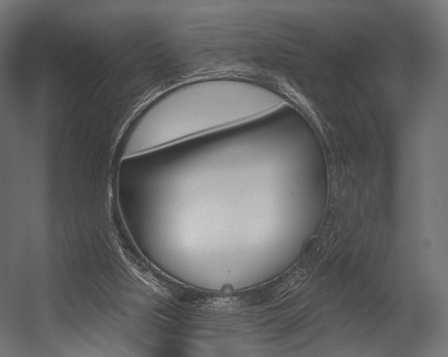 X0000054460059200507291032