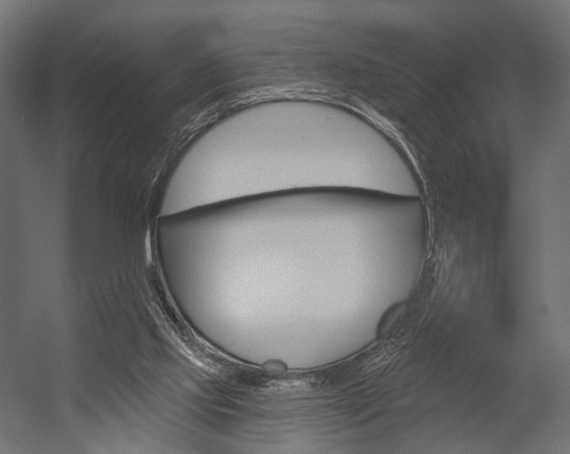 X0000054460061200507291032