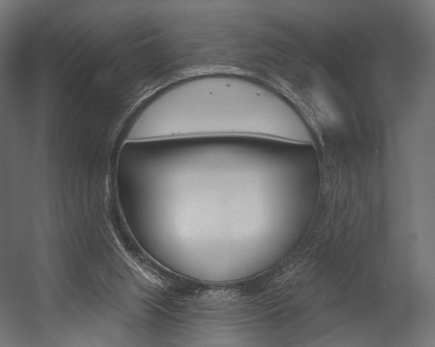 X0000054460063200507291032