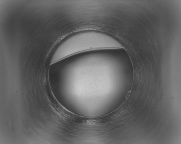 X0000054460064200507291032
