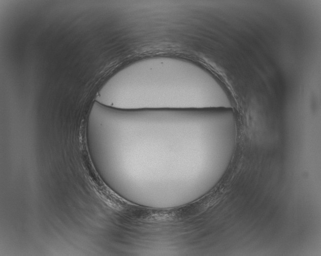 X0000054460065200507291032