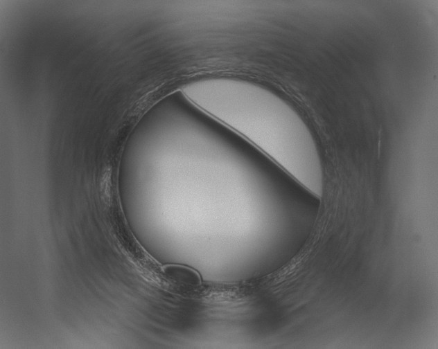 X0000054460066200507291032