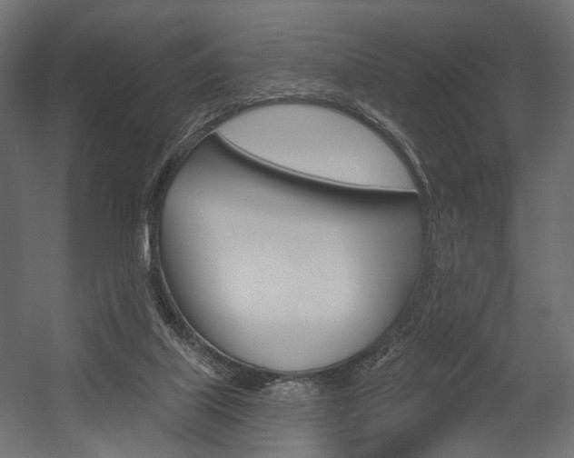 X0000054460067200507291032