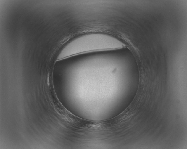X0000054460068200507291032