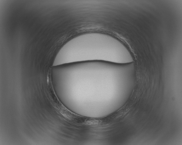 X0000054460069200507291032