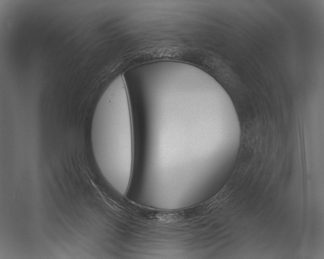 X0000054460070200507291032