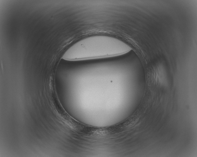 X0000054460071200507291032