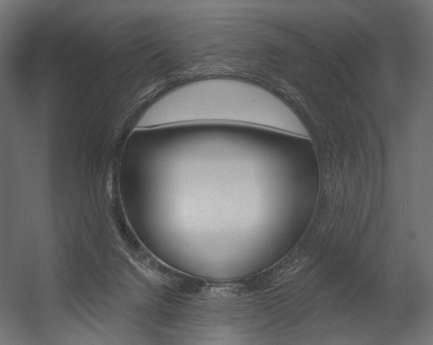 X0000054460072200507291032