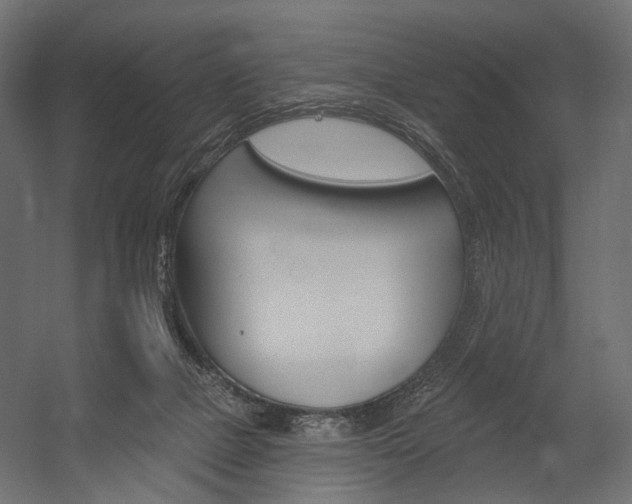 X0000054460073200507291032