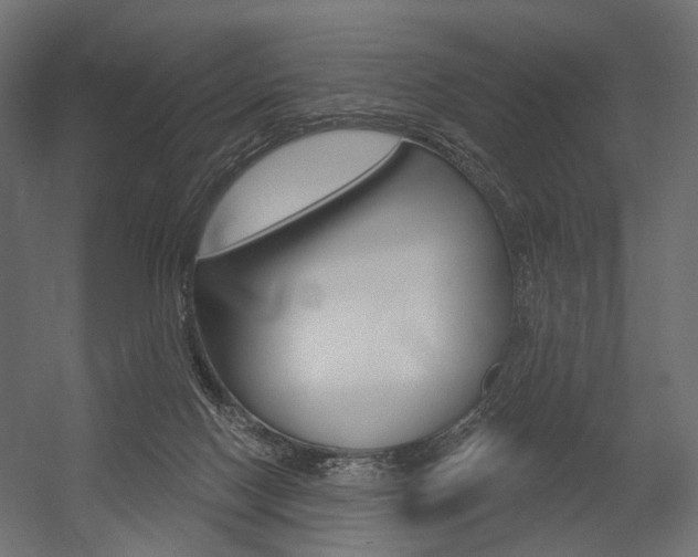 X0000054460074200507291032