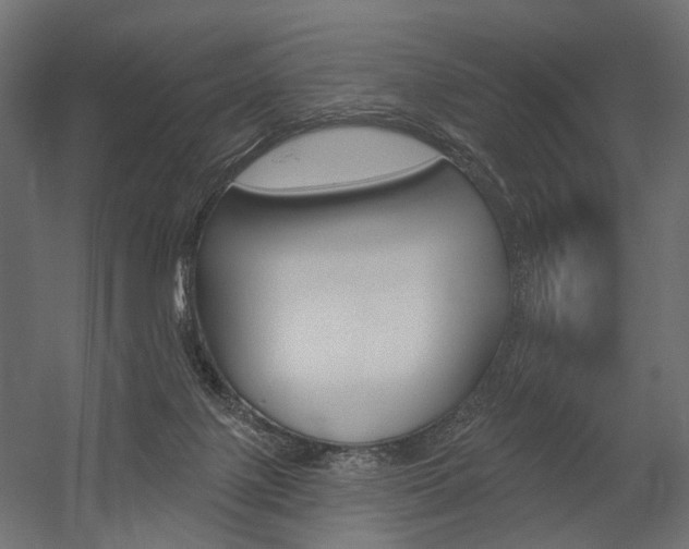 X0000054460075200507291032