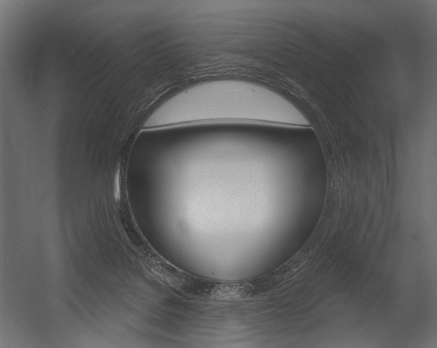 X0000054460076200507291032