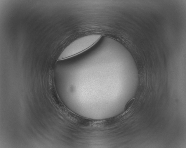 X0000054460078200507291032