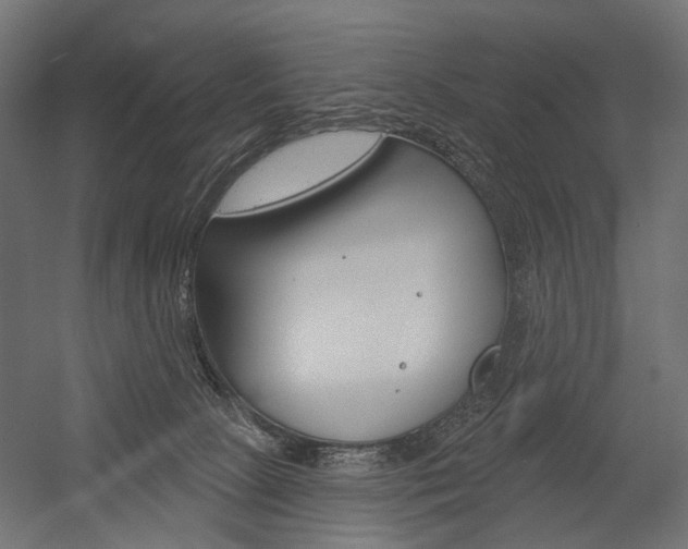 X0000054460081200507291032