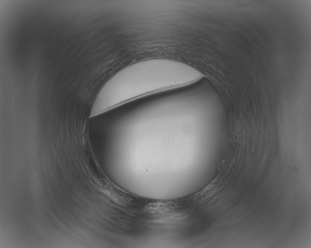 X0000054460082200507291032