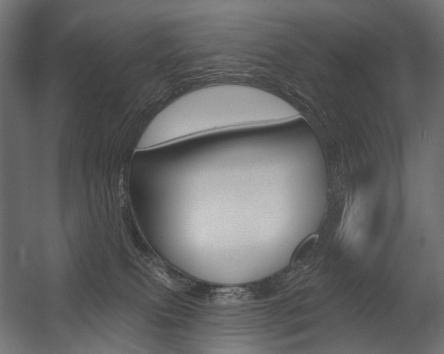 X0000054460087200507291032