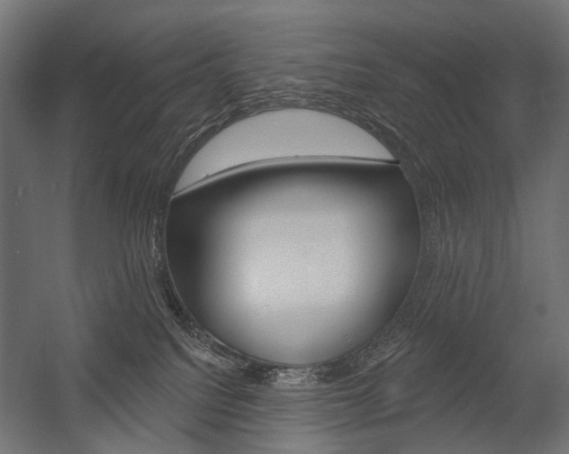 X0000054460088200507291032