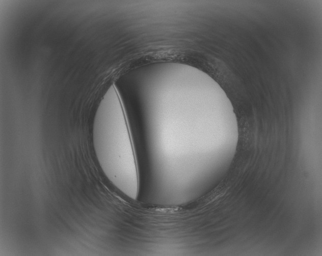X0000054460089200507291032