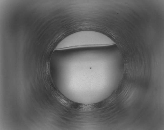 X0000054460093200507291032