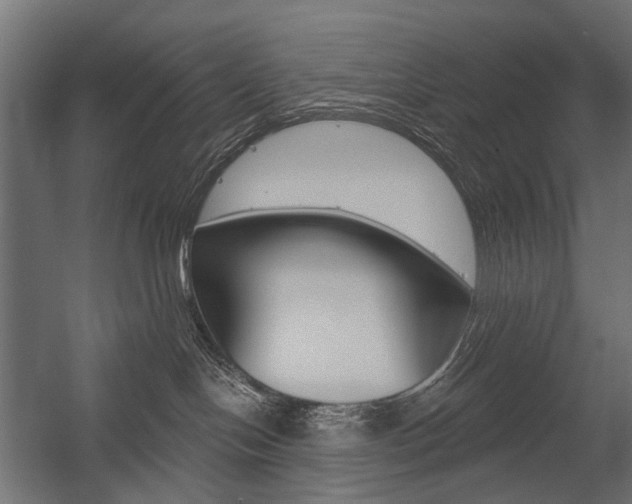 X0000054460094200507291032