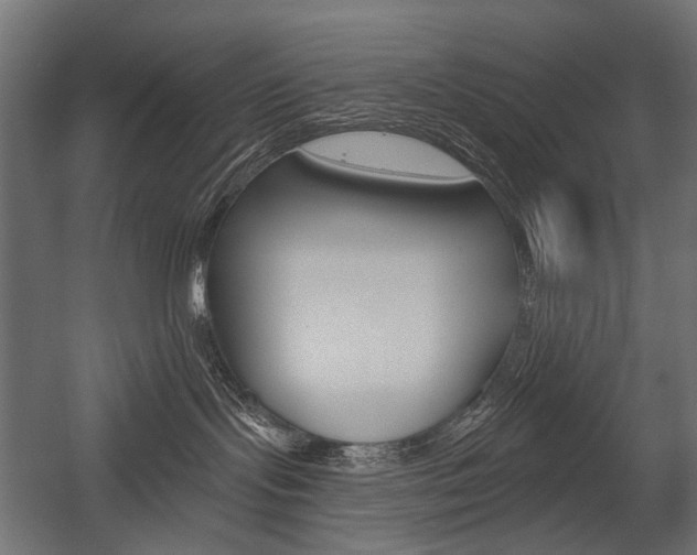 X0000054460095200507291032