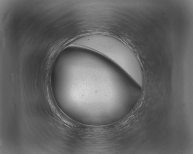 X0000054460097200507291032