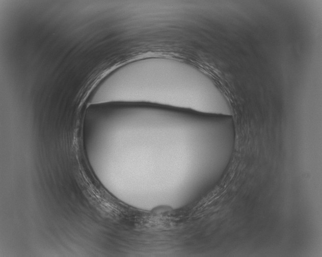 X0000054460098200507291032