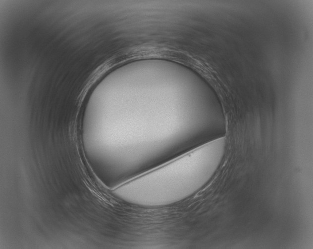 X0000054460099200507291032