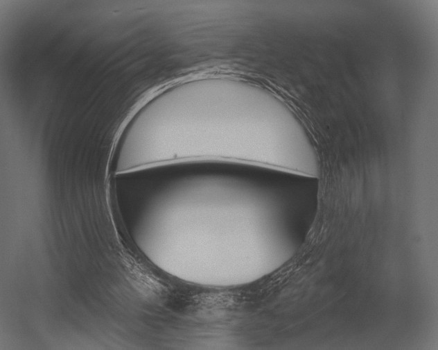 X0000054460100200507291032