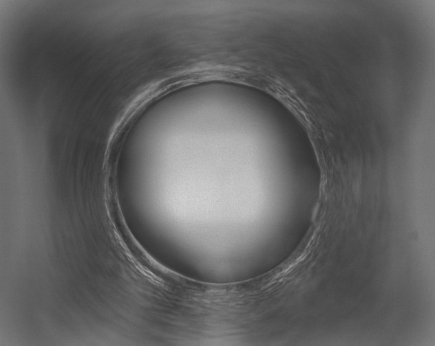 X0000054460101200507291032