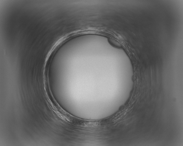 X0000054460102200507291032