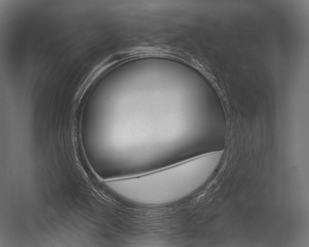 X0000054460103200507291032