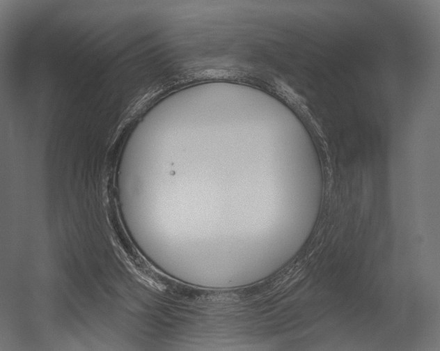 X0000054460106200507291032