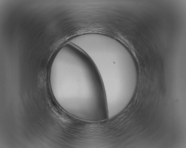 X0000054460107200507291032