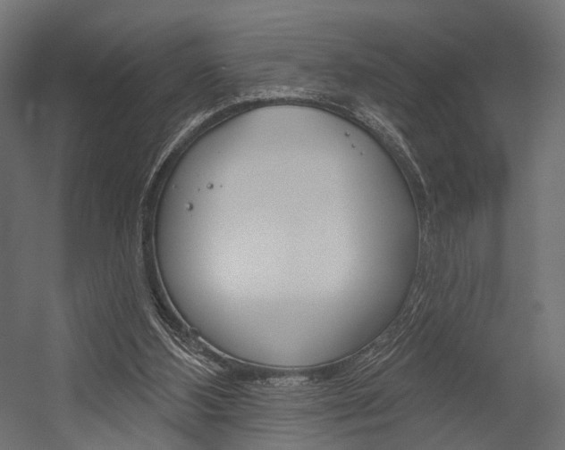 X0000054460108200507291031